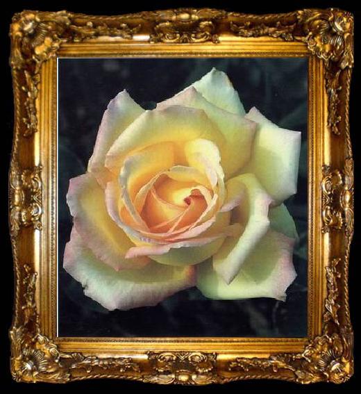 framed  unknow artist Still life floral, all kinds of reality flowers oil painting 299, ta009-2
